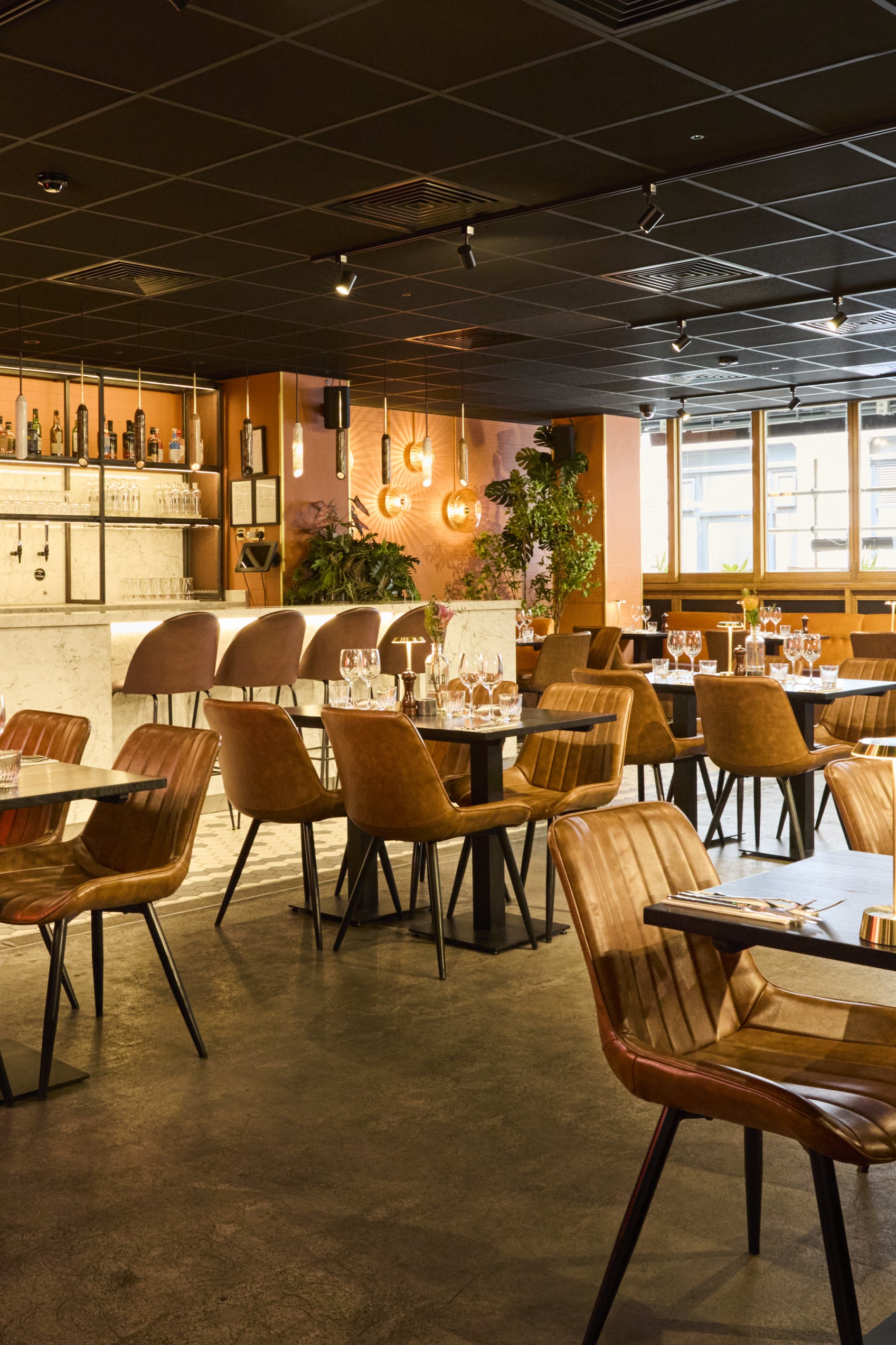 250916_KoD_Soho_5_231