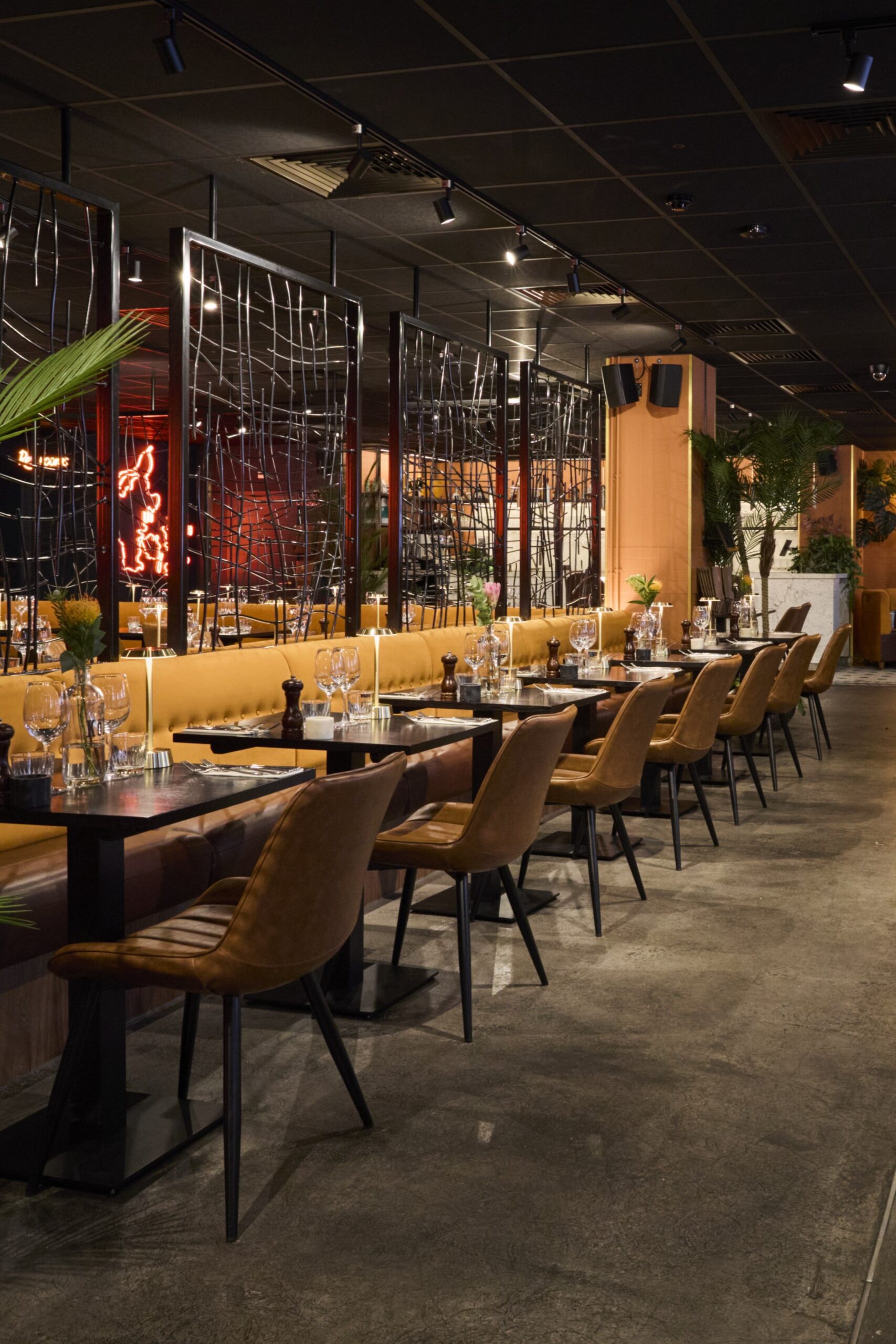 250916_KoD_Soho_8_281